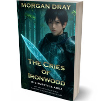 3D view of Premade LitRPG Book Cover - Firefly