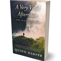 3D view of Premade Literary Fiction Book Cover - Bone