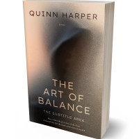 3D view of Premade Mystery & Thriller & Suspense Book Cover - Armadillo