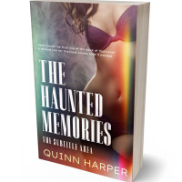 3D view of Premade Mystery & Thriller & Suspense Book Cover - Ferra