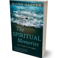 3D view of Premade Religion & Spirituality Book Cover - Firefly