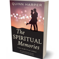 3D view of Premade Romance Book Cover - Thunder