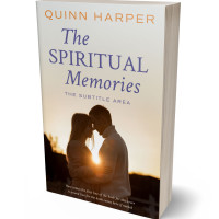 3D view of Premade Romance Book Cover - Cork