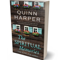 3D view of Premade Literary Fiction Book Cover - Birch