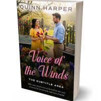 3D view of Premade Romance Book Cover - Brandy