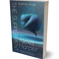 3D view of Premade Surreal Book Cover - Pickled Bluewood