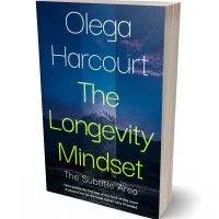 3D view of Premade Abstract Book Cover - Chathams Blue