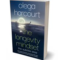 3D view of Premade Nature Book Cover - Big Stone