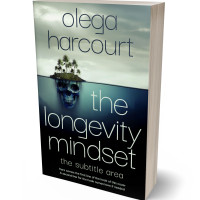 3D view of Premade Surreal Book Cover - Bunker