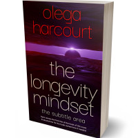 3D view of Premade Abstract Book Cover - Aubergine