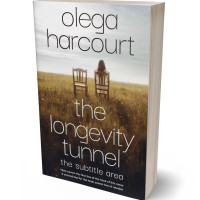 3D view of Quill Gray #35680 - Premade Religion & Spirituality Book Cover