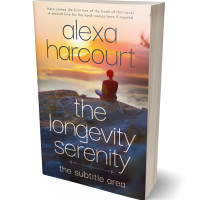 3D view of Ship Gray #35719 - Premade Health & Mind & Body Book Cover