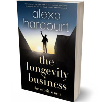 3D view of Premade Business Book Cover - Tana