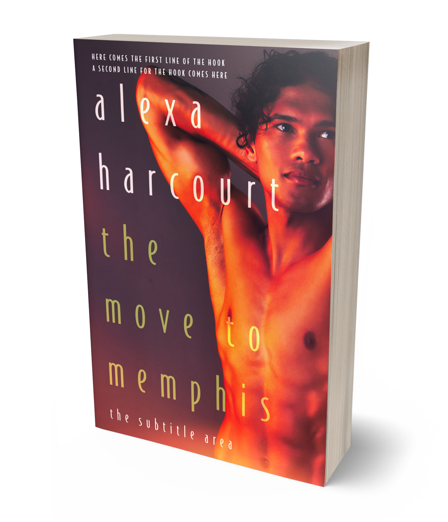 3D view of Premade Erotica Book Cover - Congo Brown