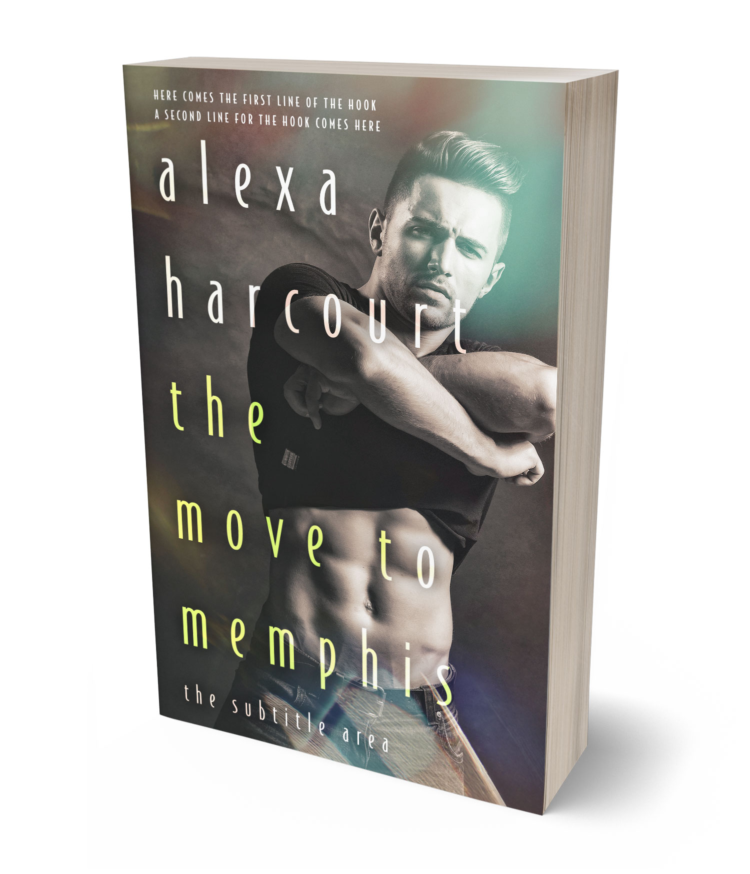 3D view of Premade Erotica Book Cover - Masala