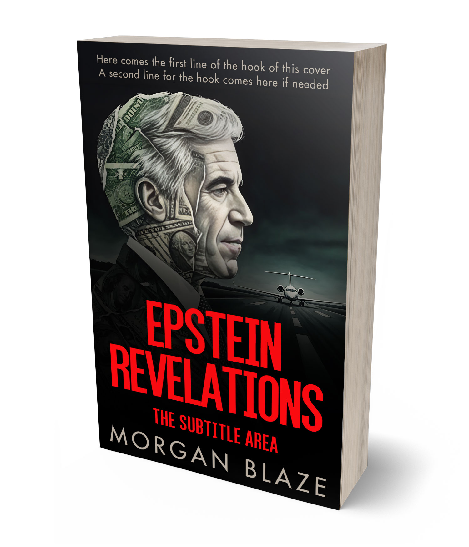 3D view of Premade Politics & Law & Society Book Cover - Roman