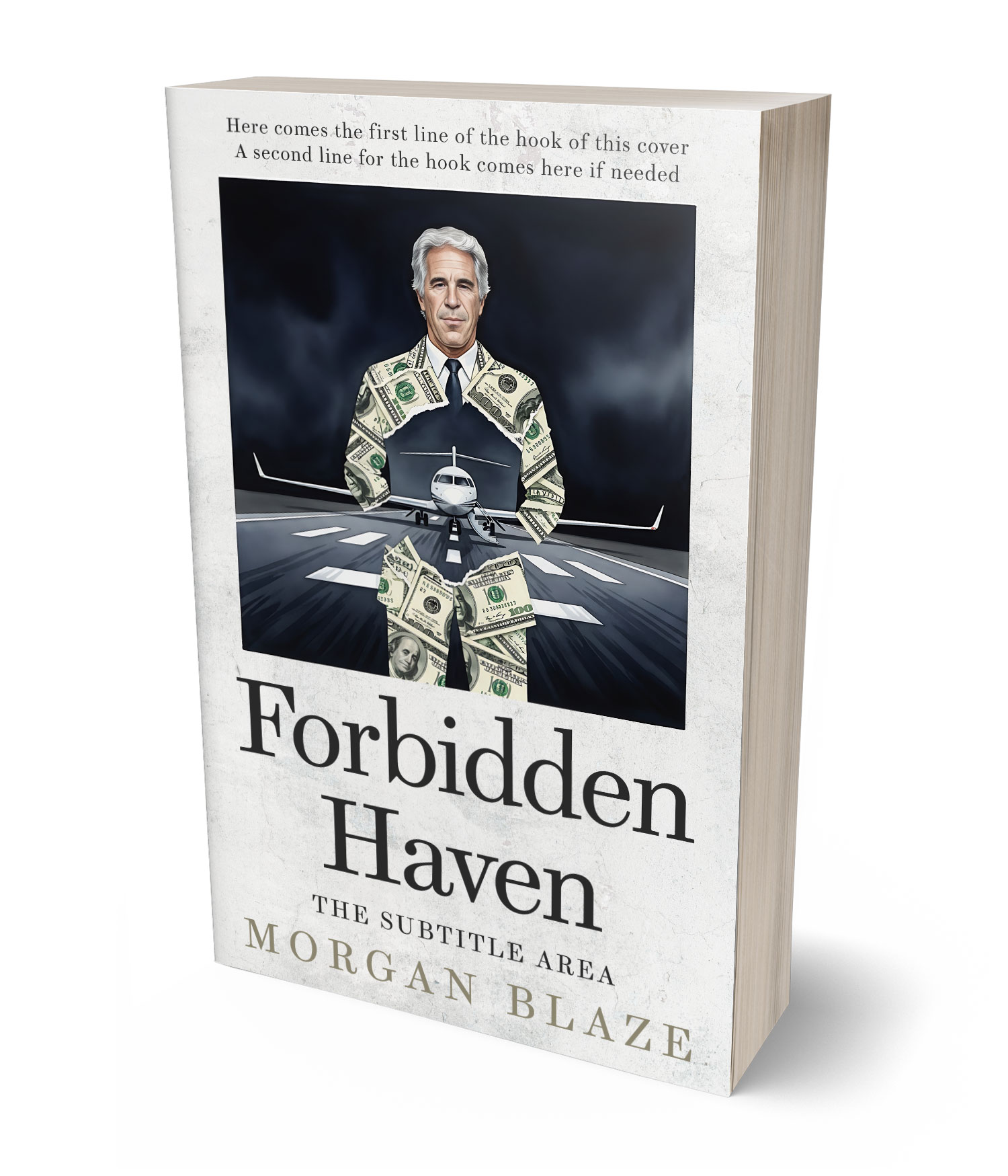 3D view of Premade Politics & Law & Society Book Cover - Quill Gray