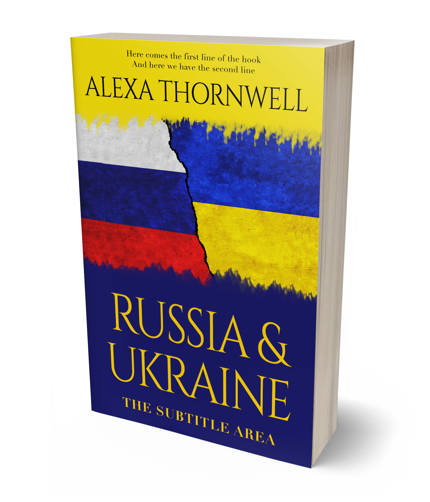 3D view of Premade Politics & Law & Society Book Cover - Lucky Point