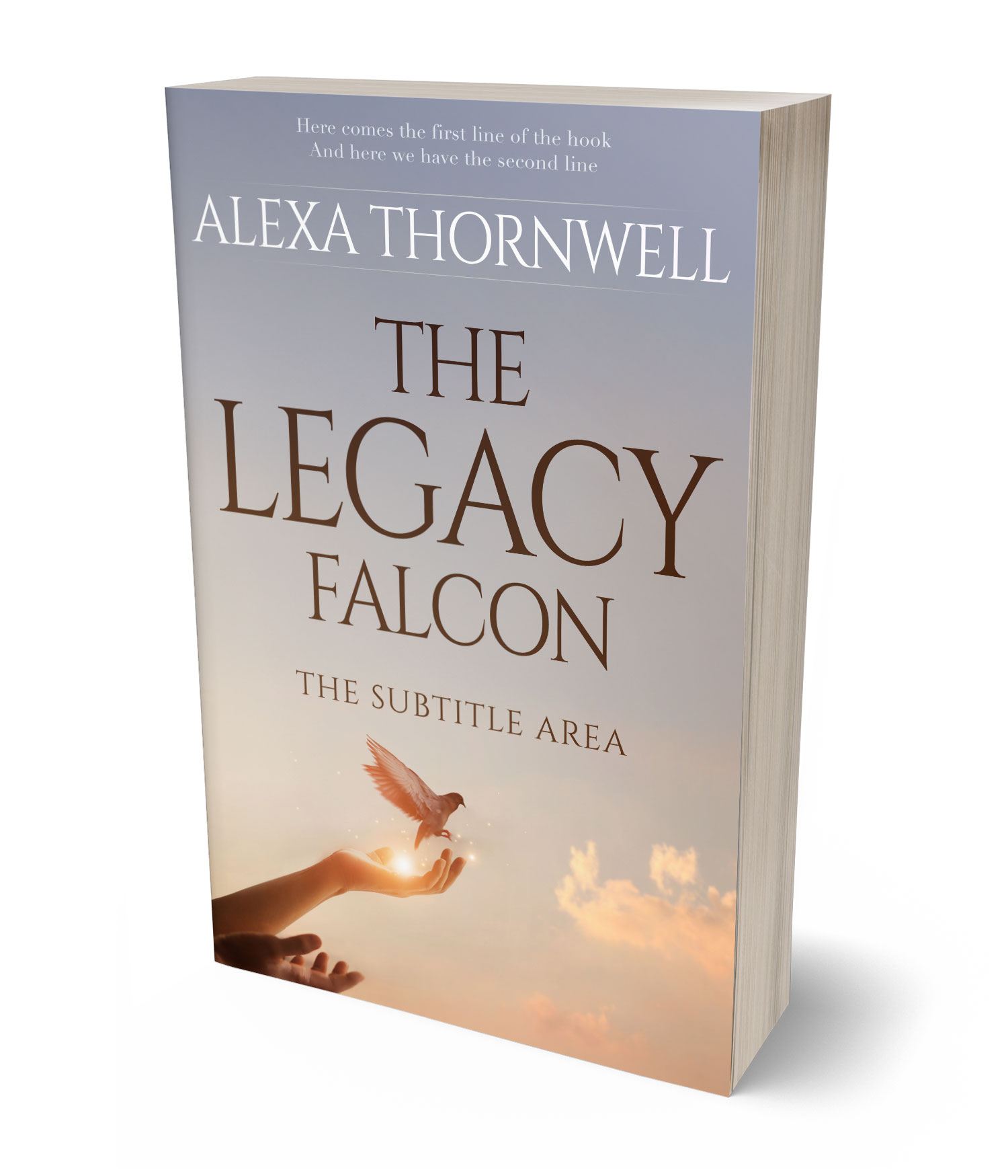 3D view of Custom & Premade Religion & Spirituality Book Cover - Tide #35914 | BookCoverZone*