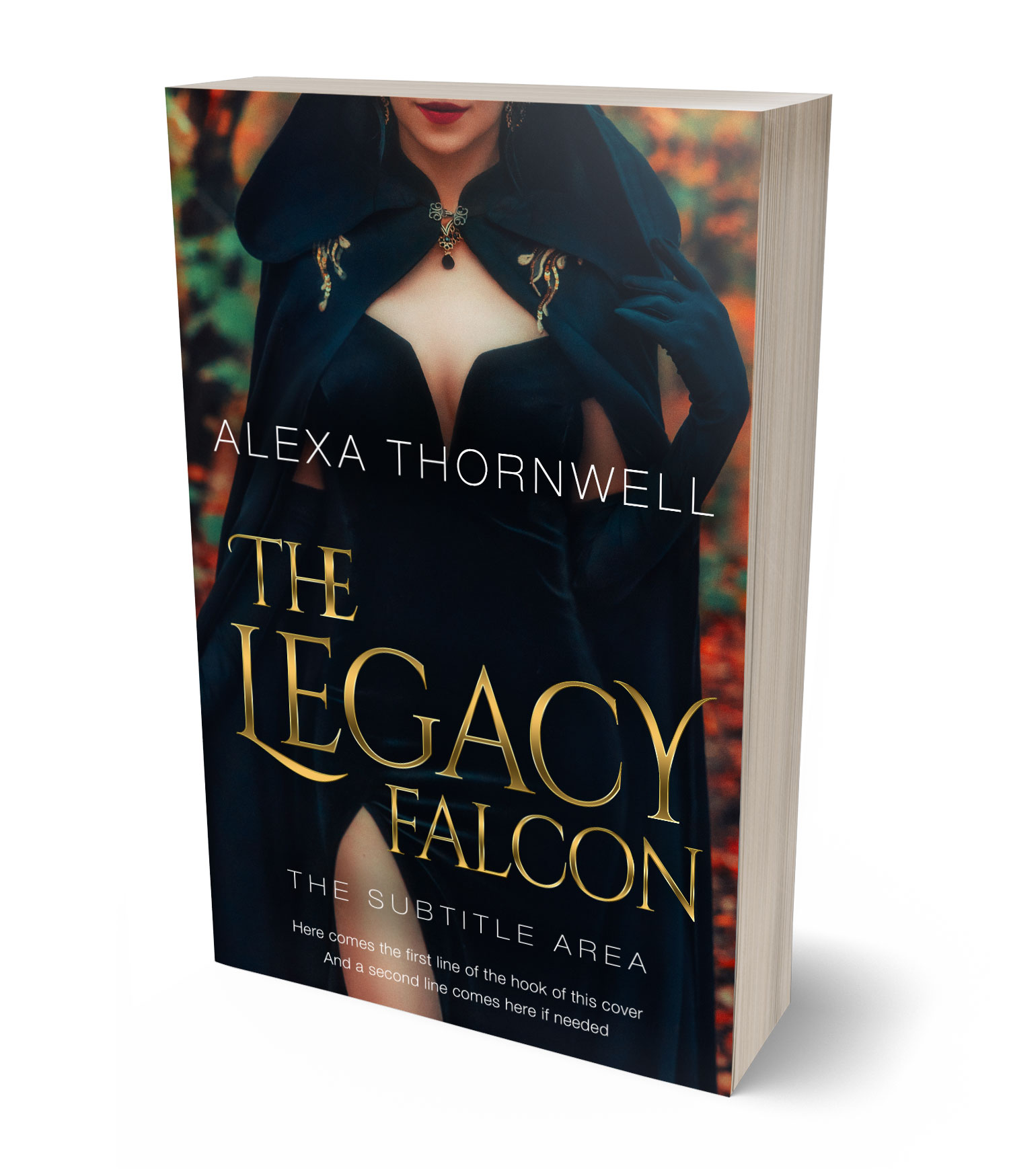 3D view of Custom & Premade Paranormal & Urban Book Cover - Ebony #35924 | BookCoverZone*