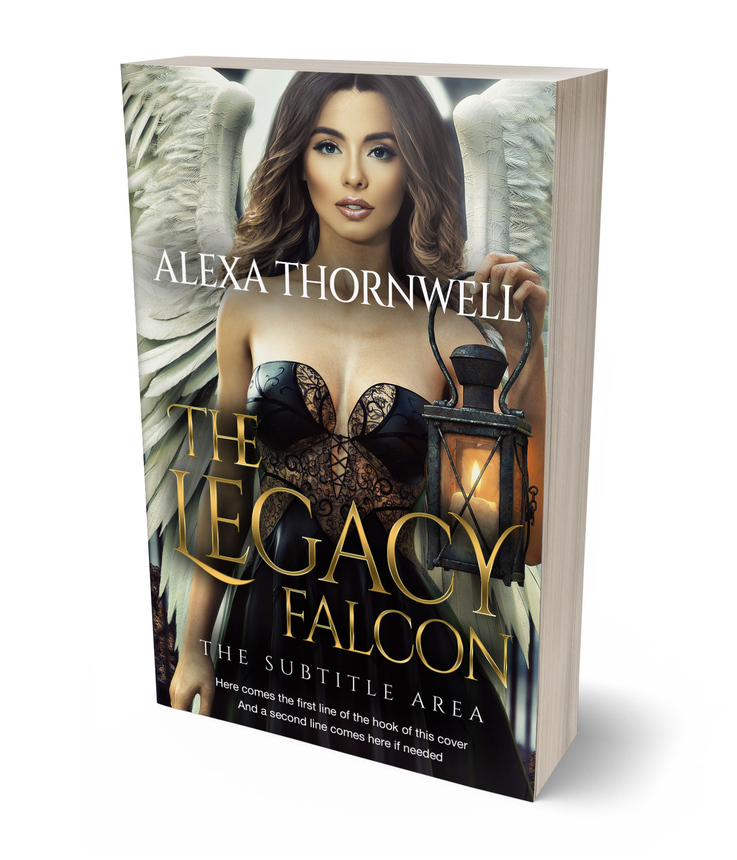 3D view of Custom & Premade Paranormal & Urban Book Cover - Chino #35931 | BookCoverZone*