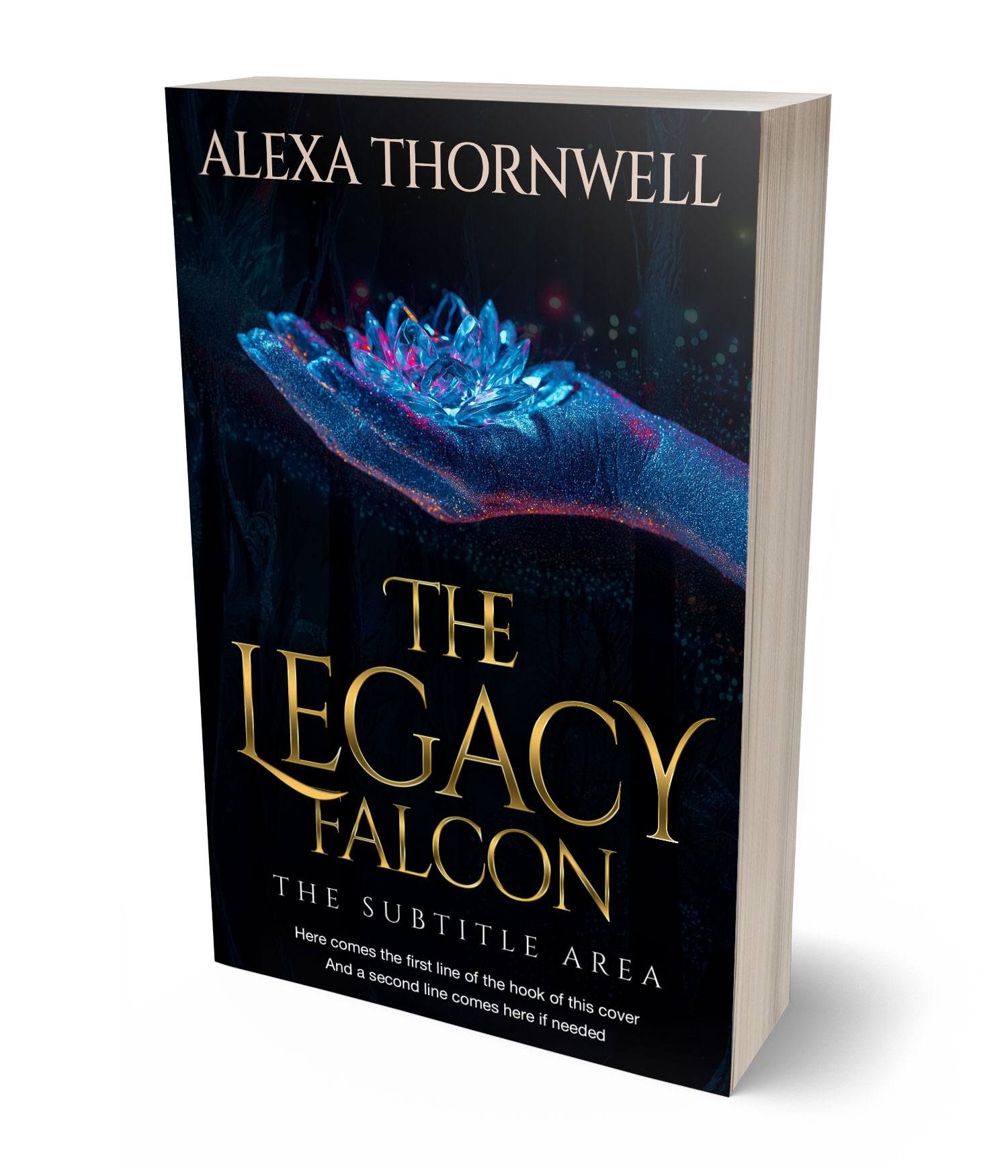 3D view of Custom & Premade Fantasy Book Cover - Ebony #35937 | BookCoverZone*