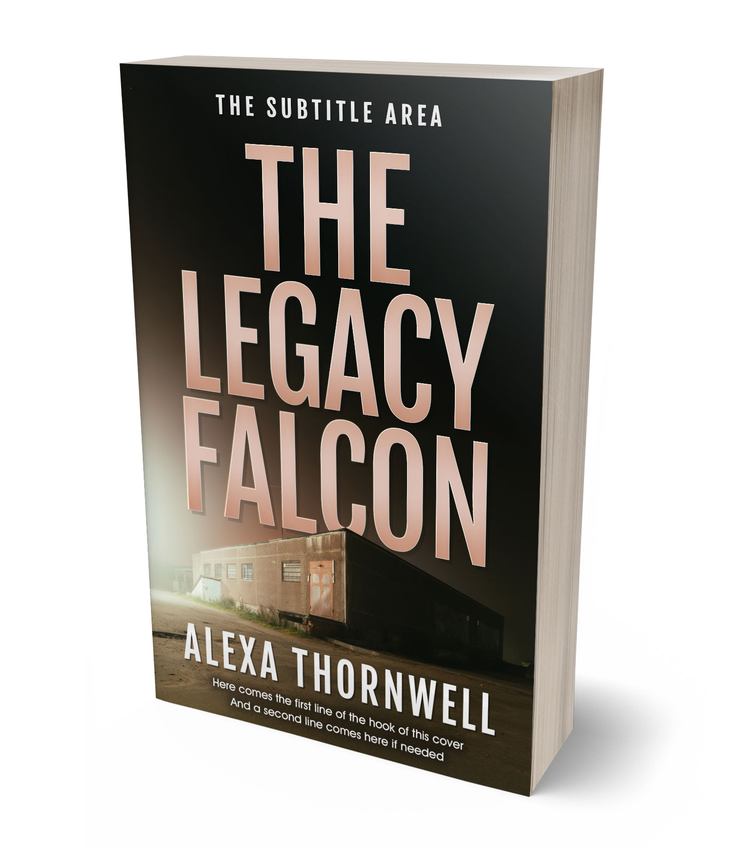 3D view of Custom & Premade Mystery & Thriller & Suspense Book Cover - Zeus #35991 | BookCoverZone*