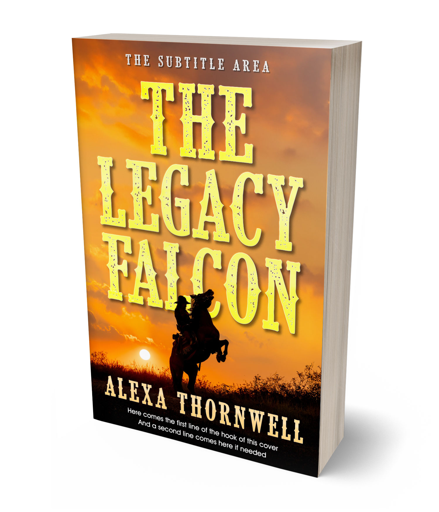 3D view of Premade Western Book Cover - Brandy Punch #36000 | BookCoverZone*