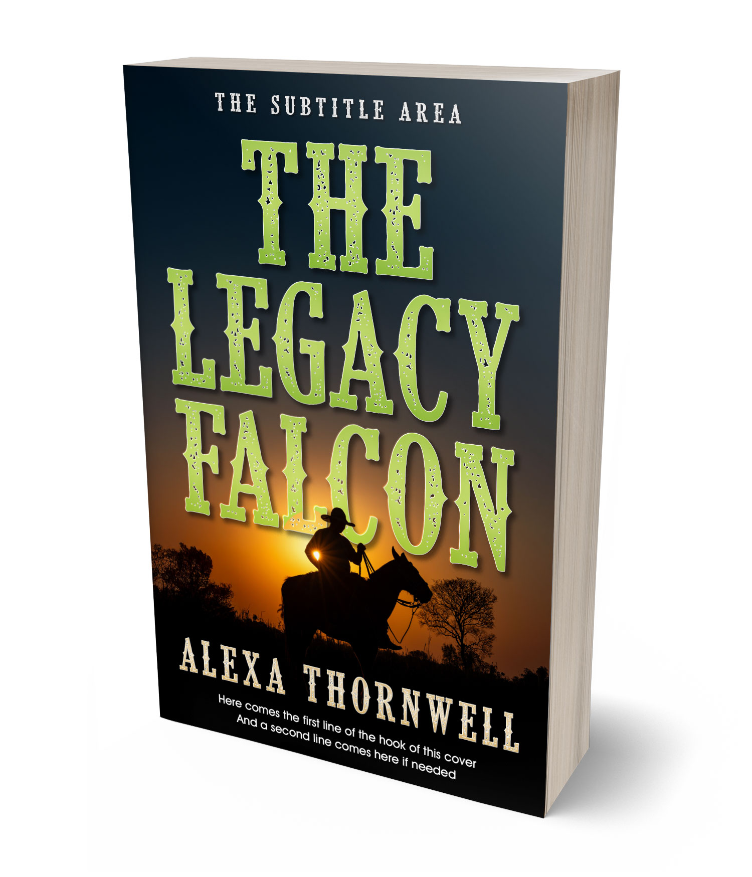 3D view of Premade Western Book Cover - Celery #36003 | BookCoverZone*