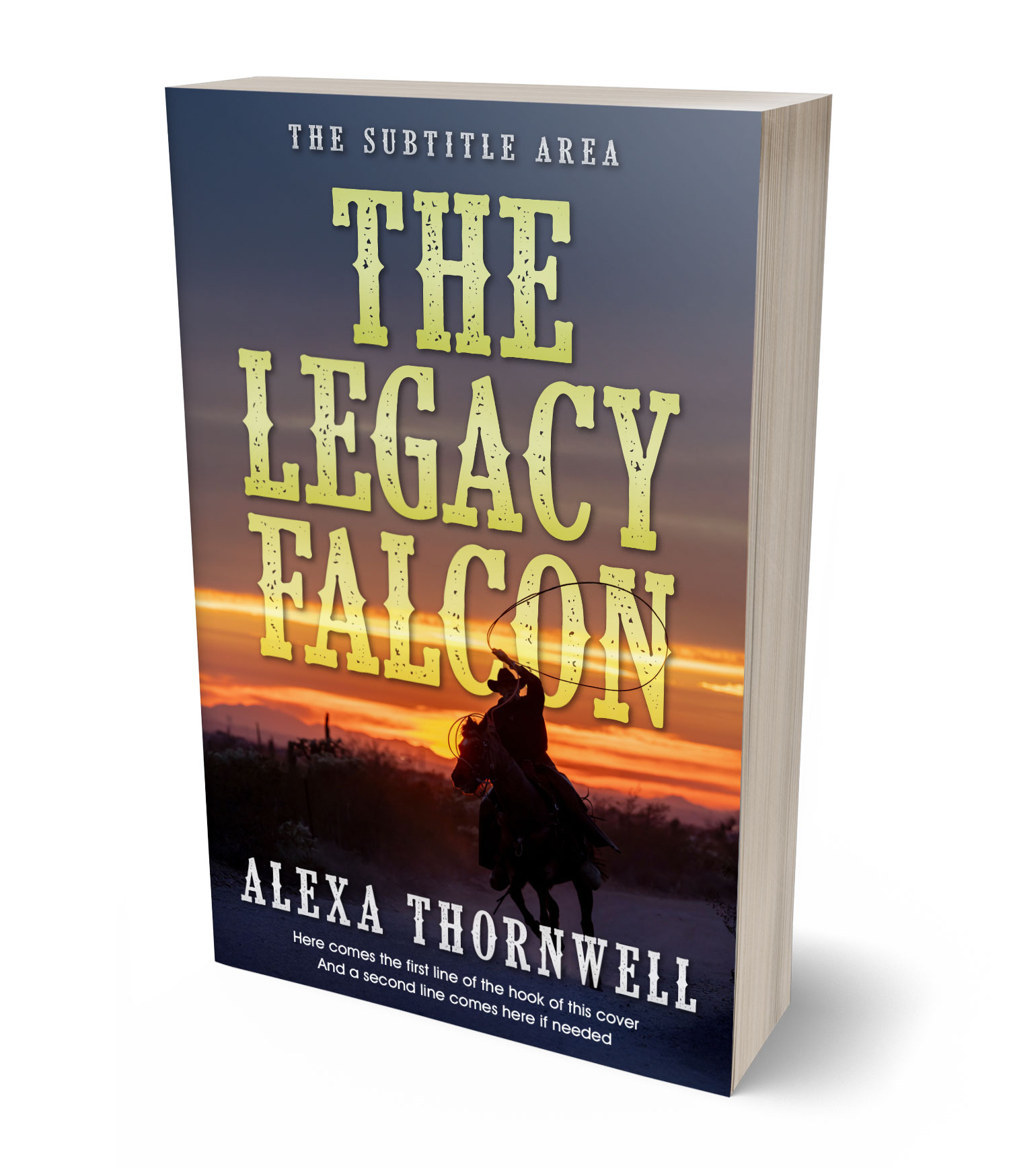 3D view of Premade Western Book Cover - Tuna #36009 | BookCoverZone*