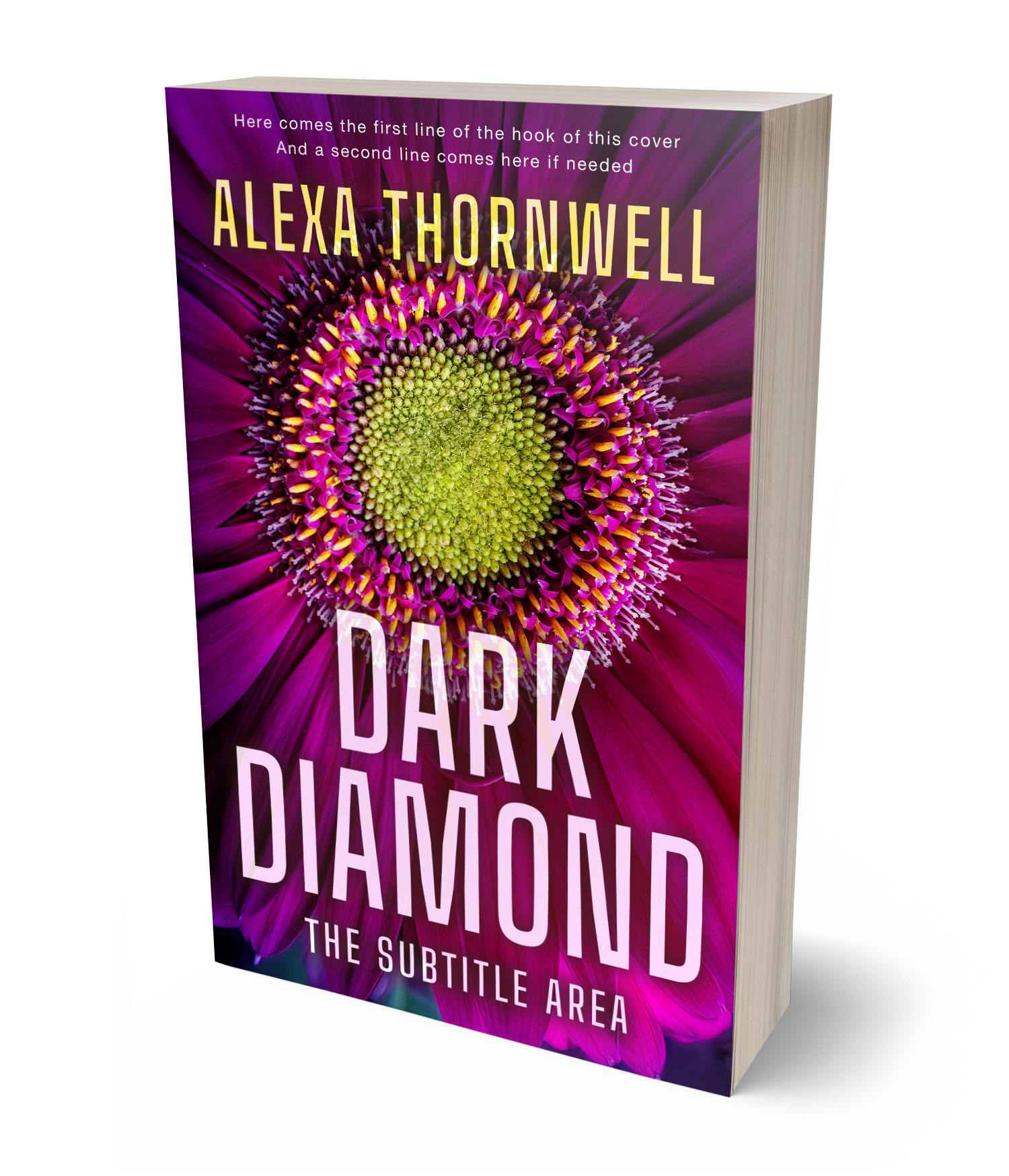 3D view of Premade Abstract Book Cover - Loulou #36045 | BookCoverZone*