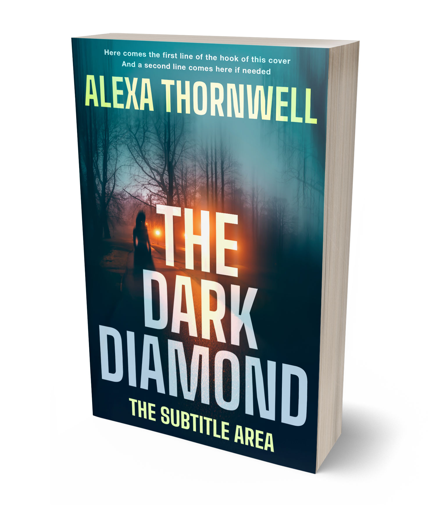 3D view of Premade Mystery & Thriller & Suspense Book Cover - Sisal #36053 | BookCoverZone*