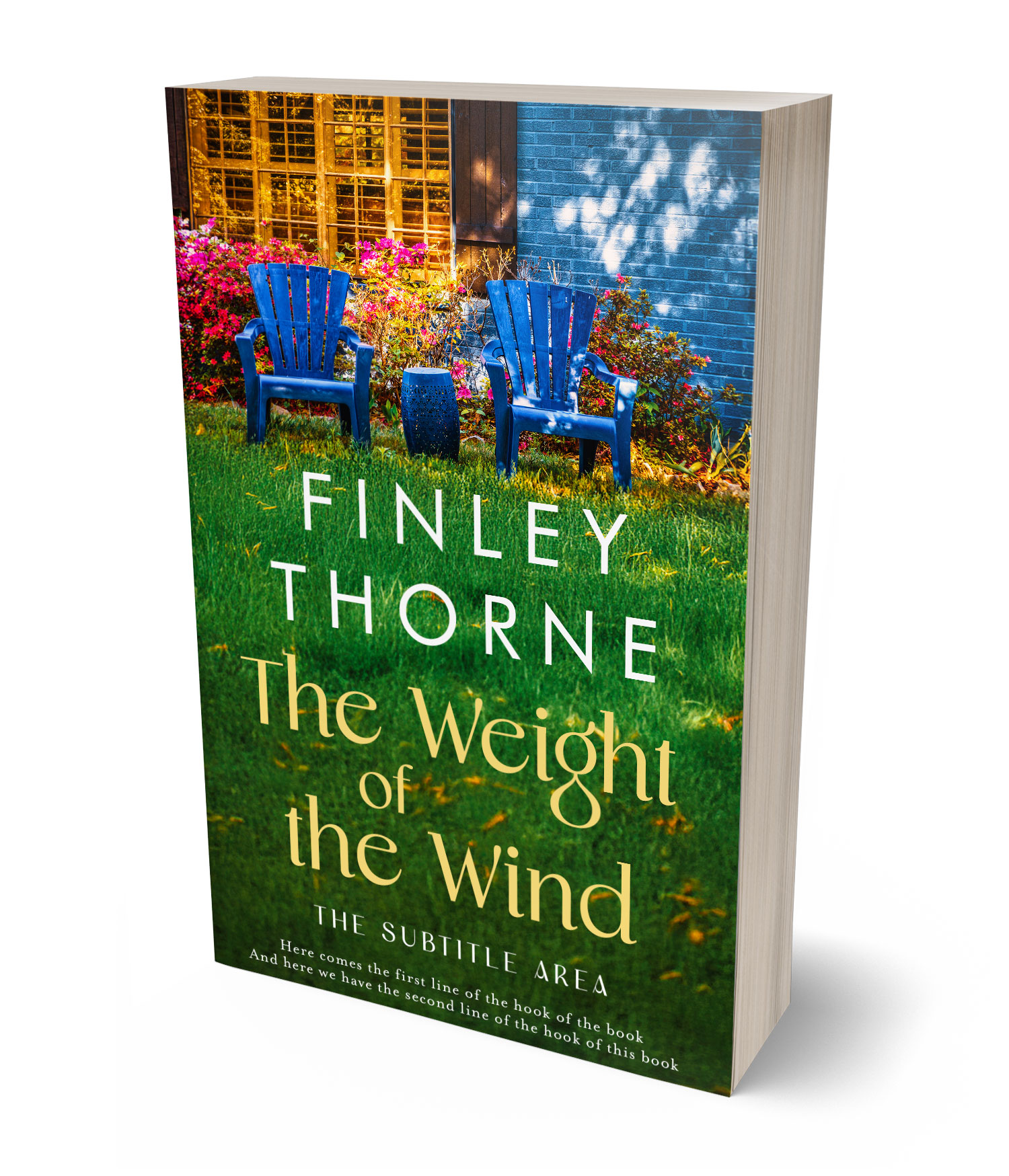 3D view of Premade Literary Fiction Book Cover - Seaweed #36075 | BookCoverZone*