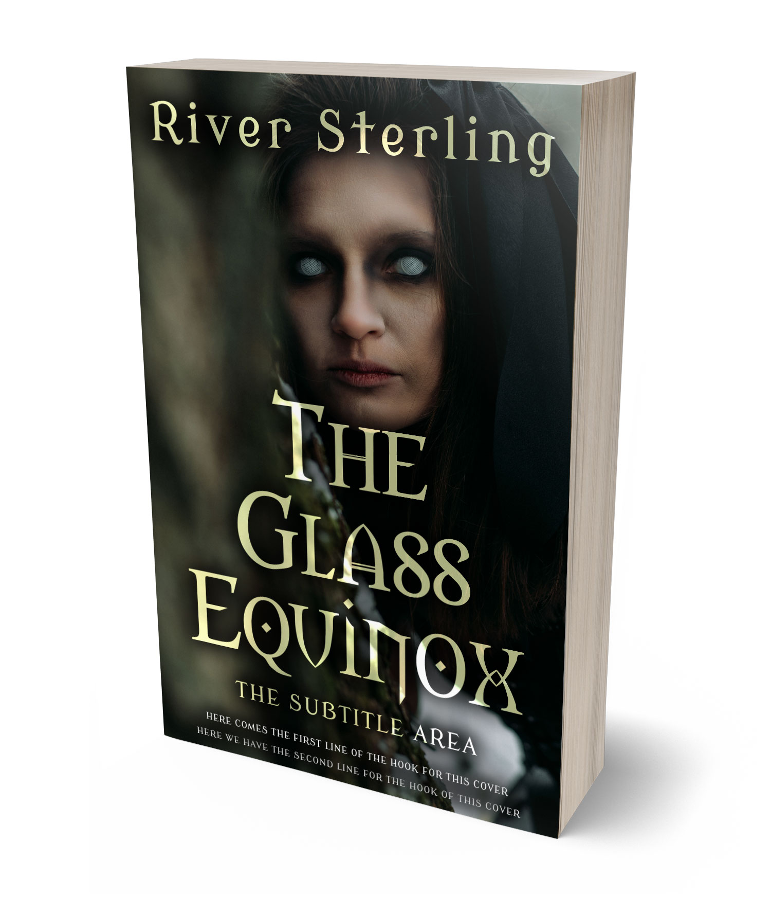 3D view of Premade Horror Book Cover - Log Cabin #36133 | BookCoverZone*