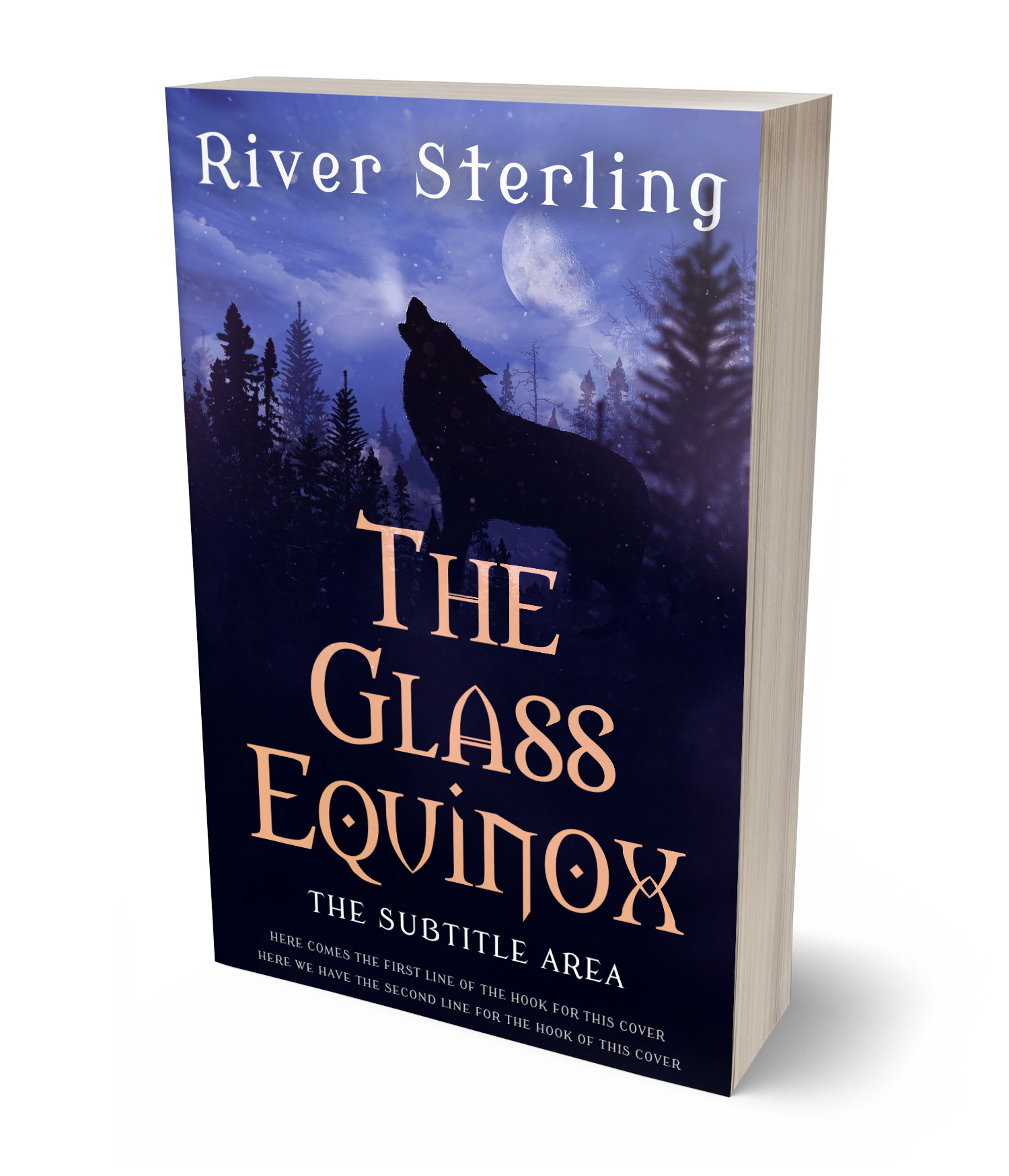 3D view of Premade Paranormal & Urban Book Cover - Haiti #36140 | BookCoverZone*