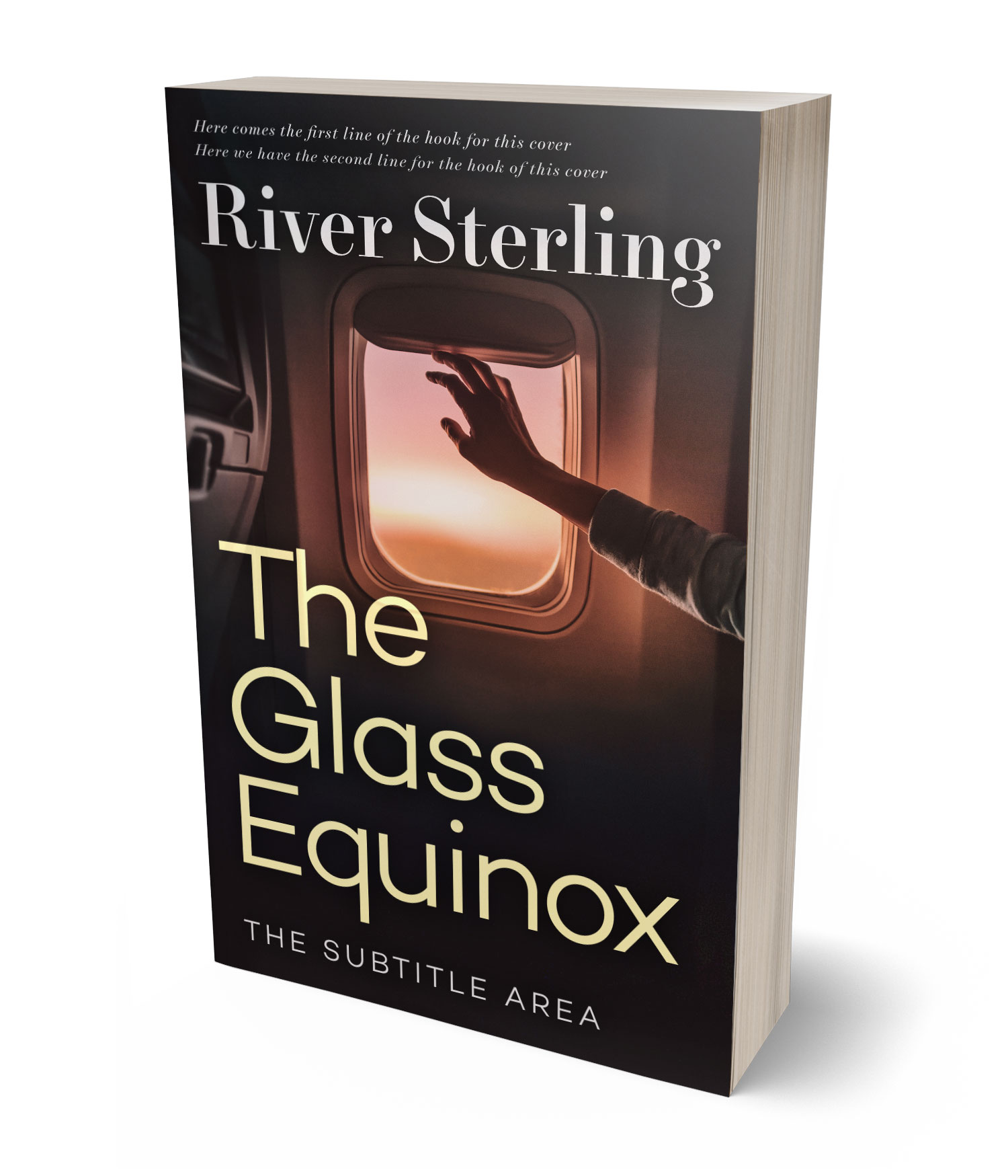 3D view of Premade Mystery & Thriller & Suspense Book Cover - Cocoa Brown #36154 | BookCoverZone*