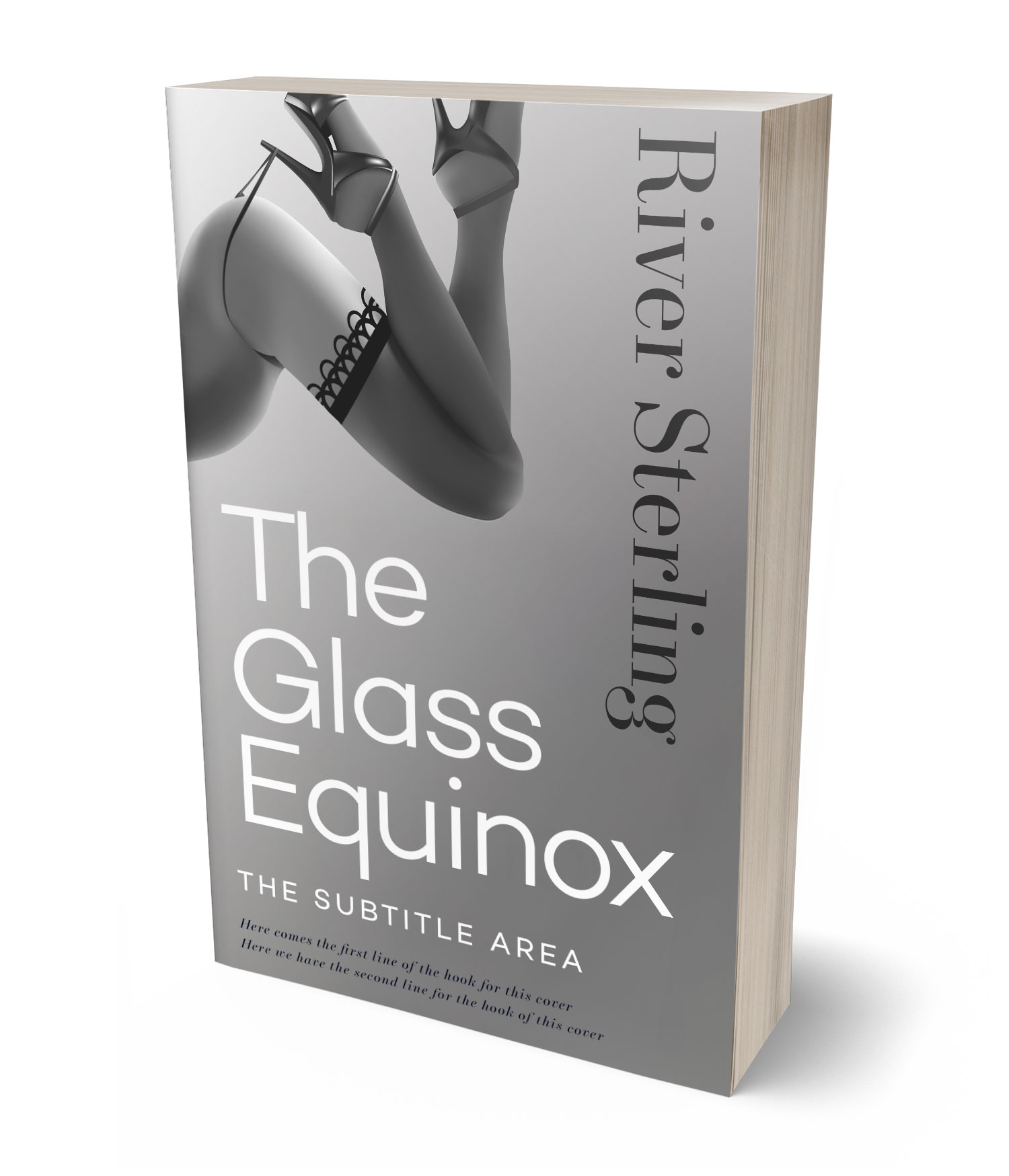 3D view of Premade Erotica Book Cover - Gray #36160 | BookCoverZone*