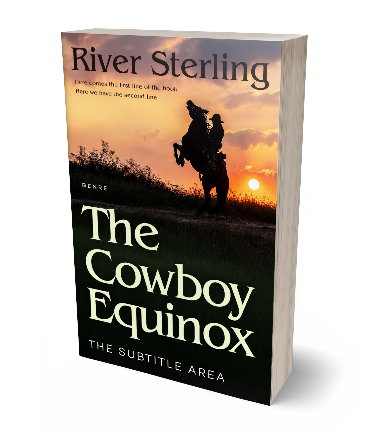 3D view of Premade Western Book Cover - Gold Sand #36196 | BookCoverZone*