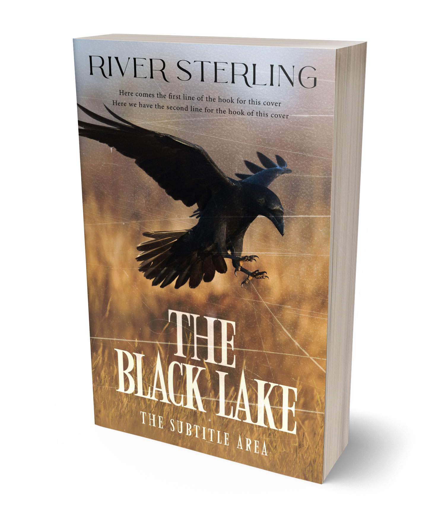 3D view of Premade Mystery & Thriller & Suspense Book Cover - Leather #36291 | BookCoverZone*