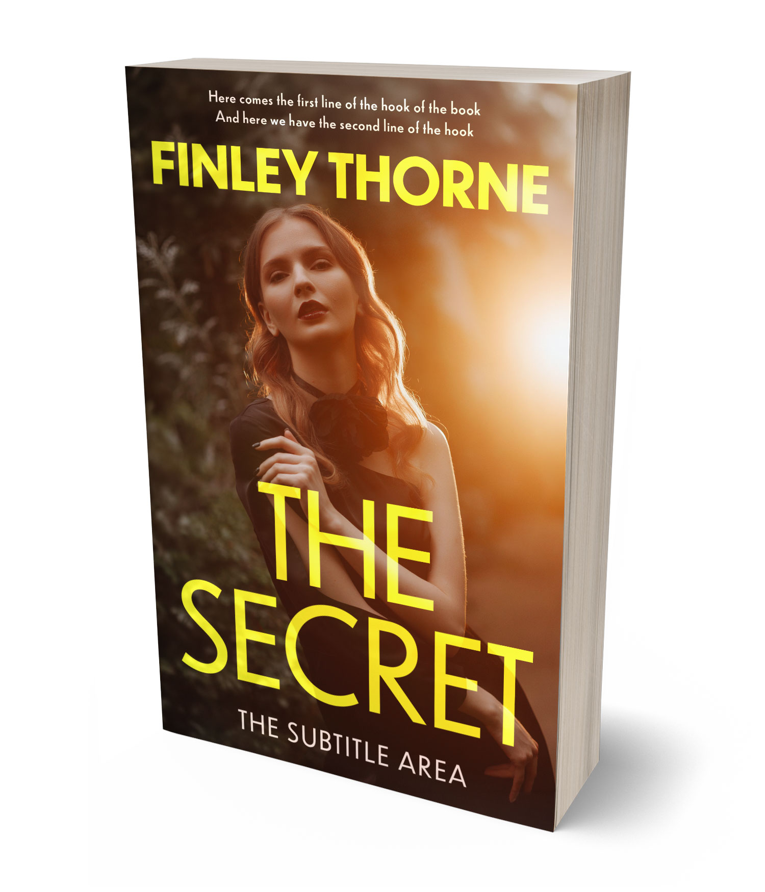 3D view of Premade Mystery & Thriller & Suspense Book Cover - Brown Derby