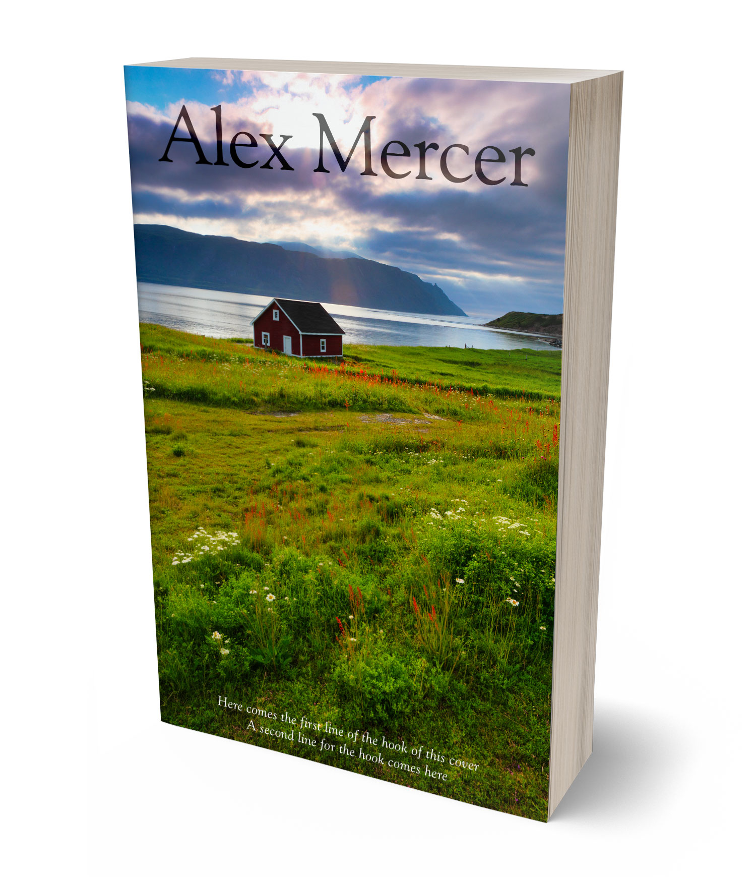 3D view of Premade Literary Fiction Book Cover - Clover #36497 | BookCoverZone*