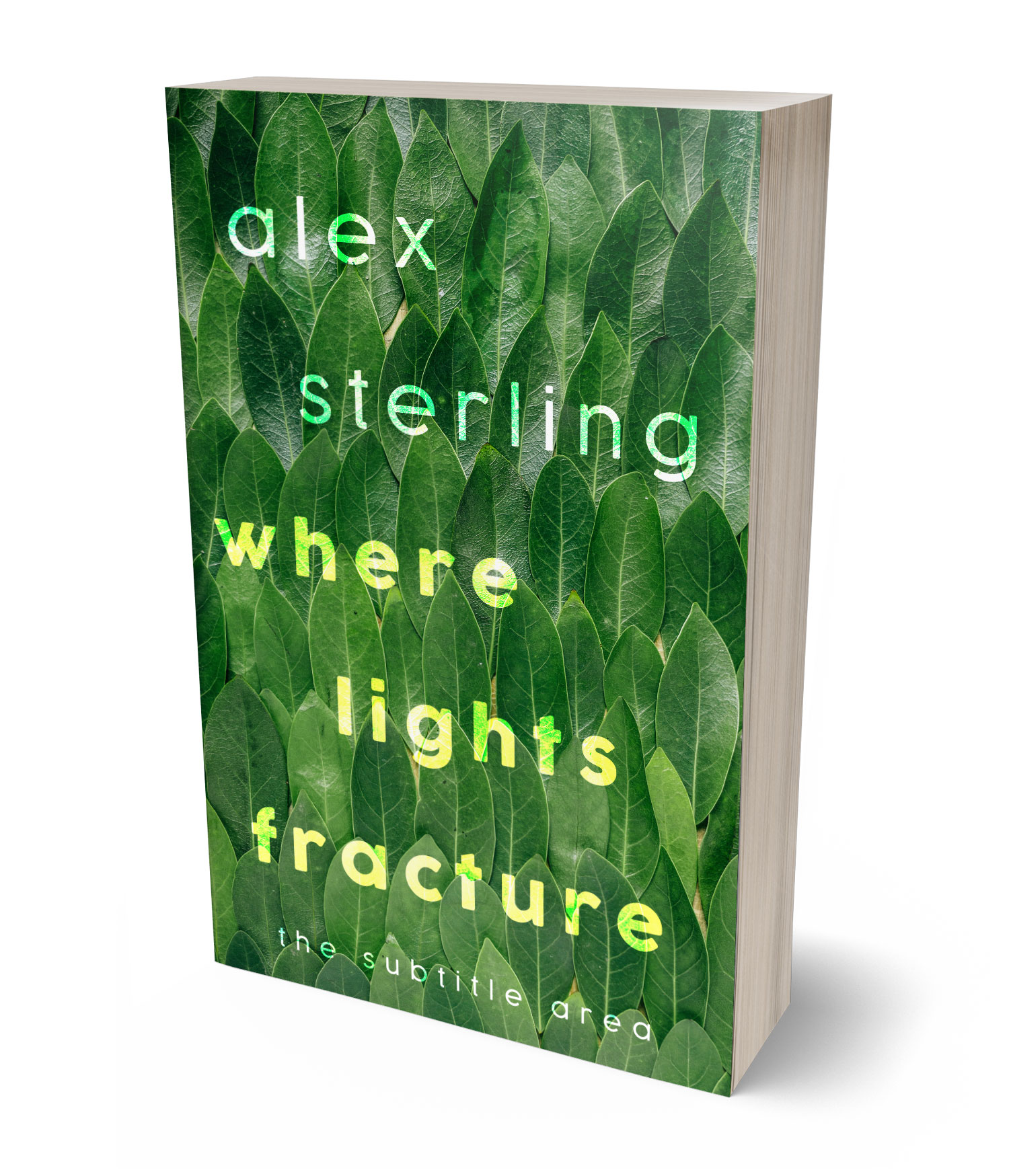 3D view of Premade Nature Book Cover - Killarney