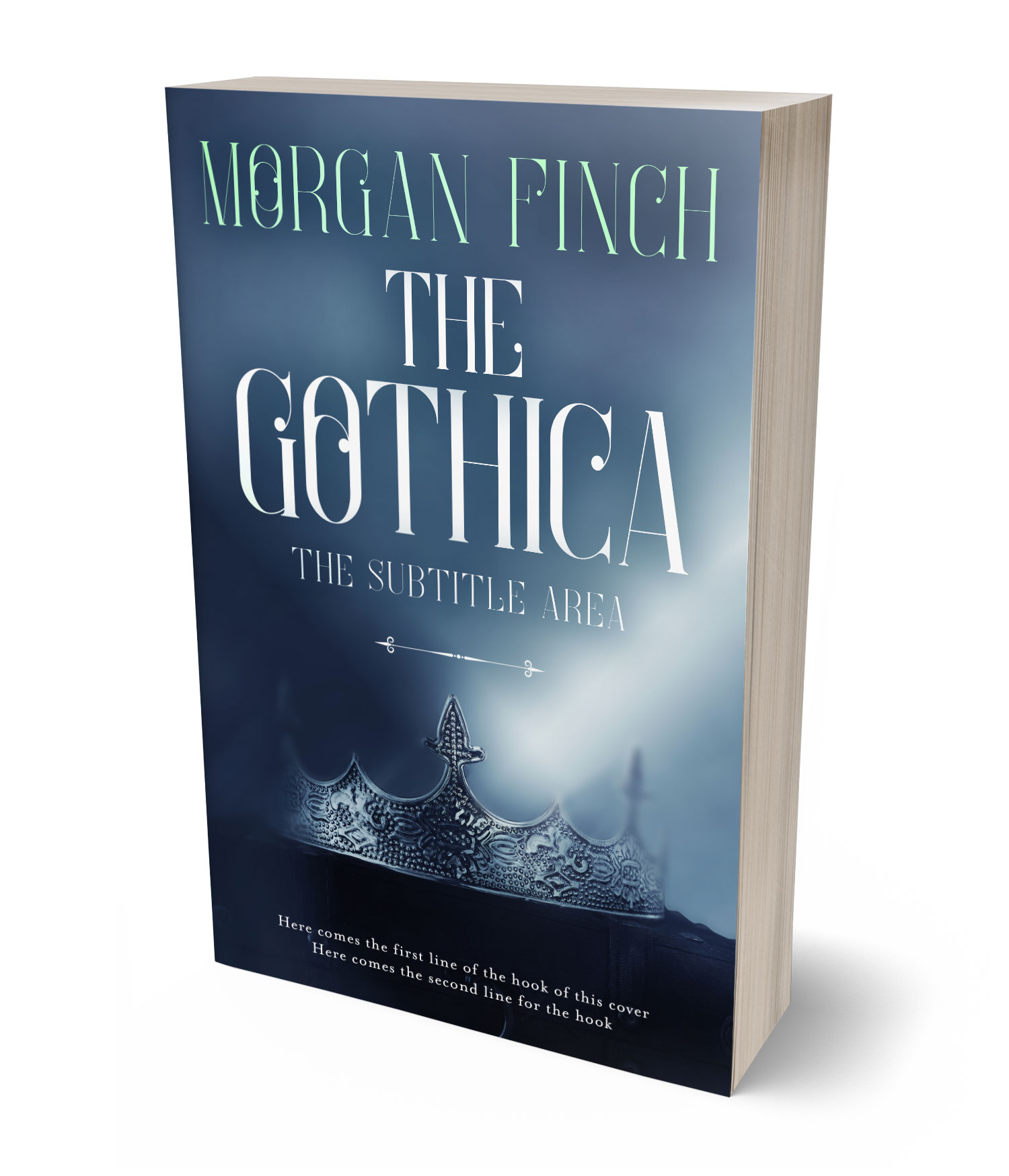 3D view of Premade Fantasy Book Cover - Fiord