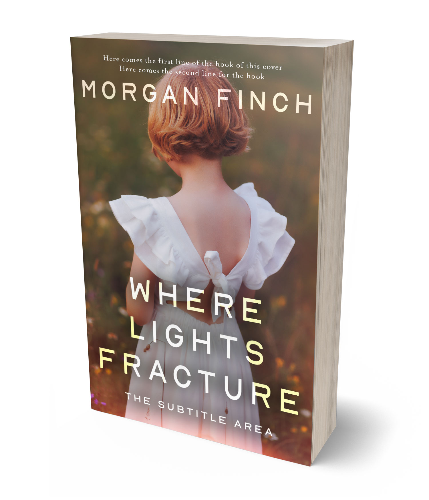 3D view of Premade Literary Fiction Book Cover - Millbrook