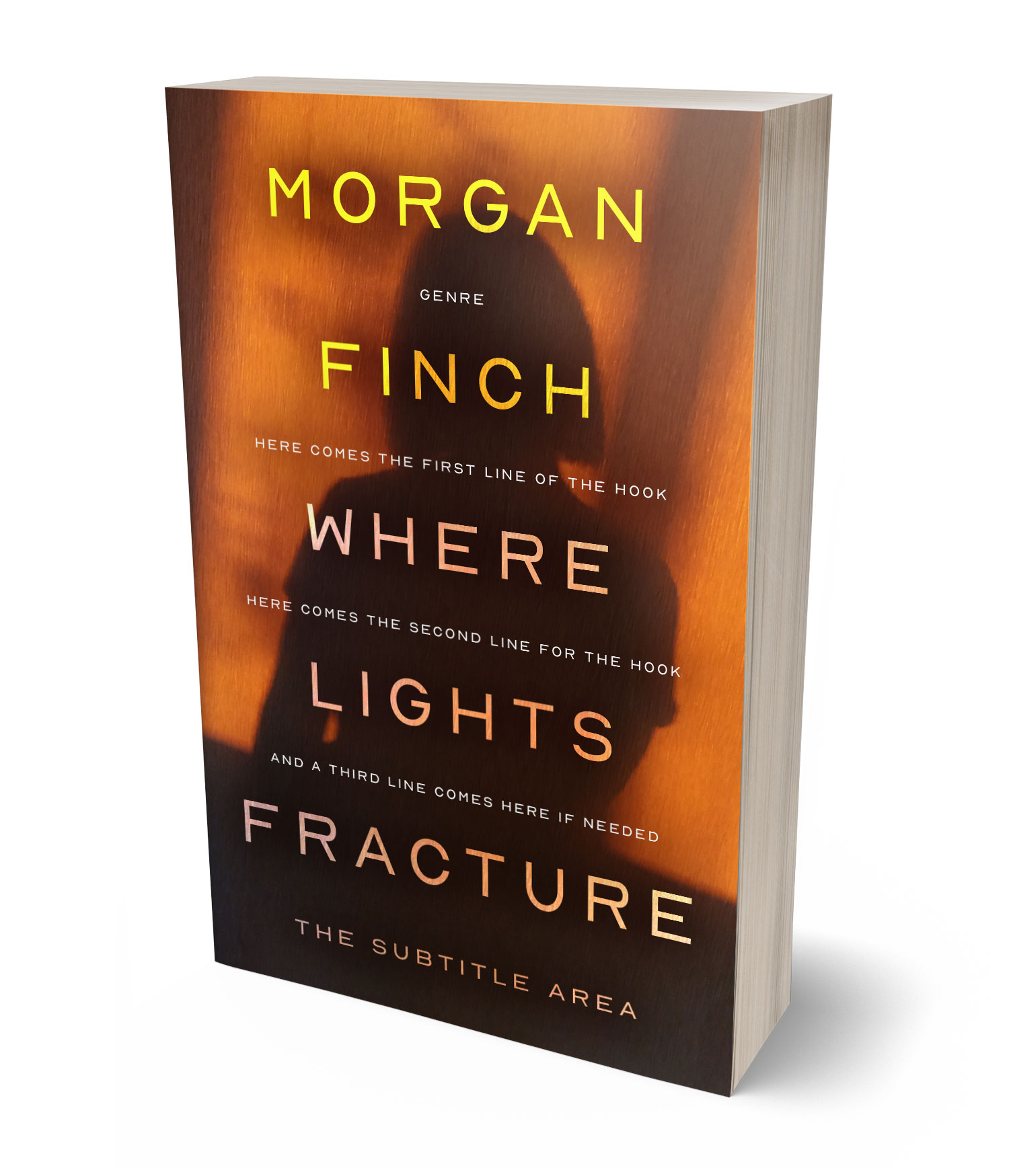 3D view of Premade Mystery & Thriller & Suspense Book Cover - Brandy Punch #36641 | BookCoverZone