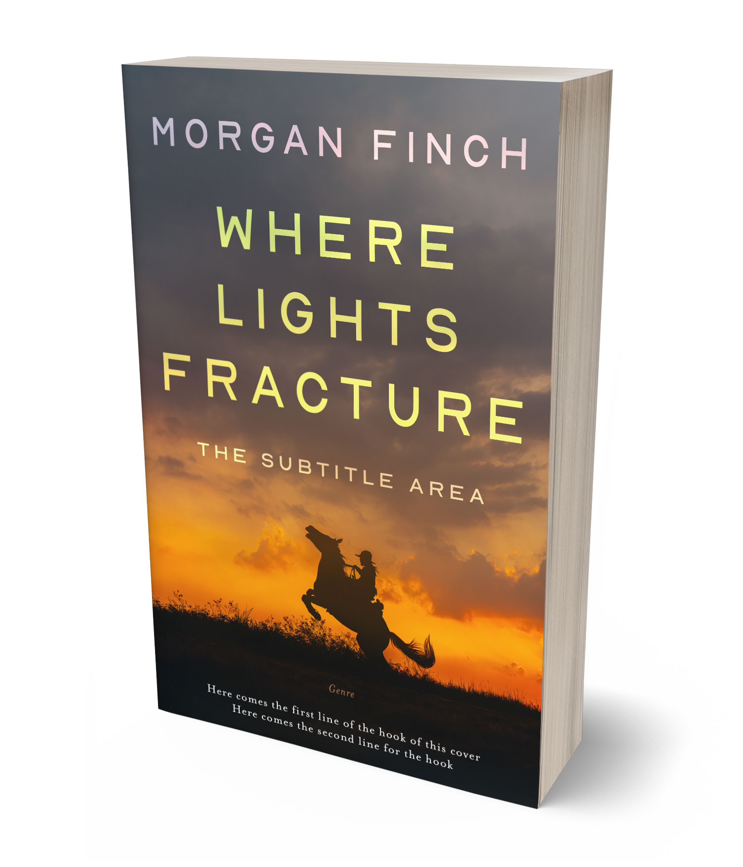 3D view of Premade Western Book Cover - Tundora #36646 | BookCoverZone*