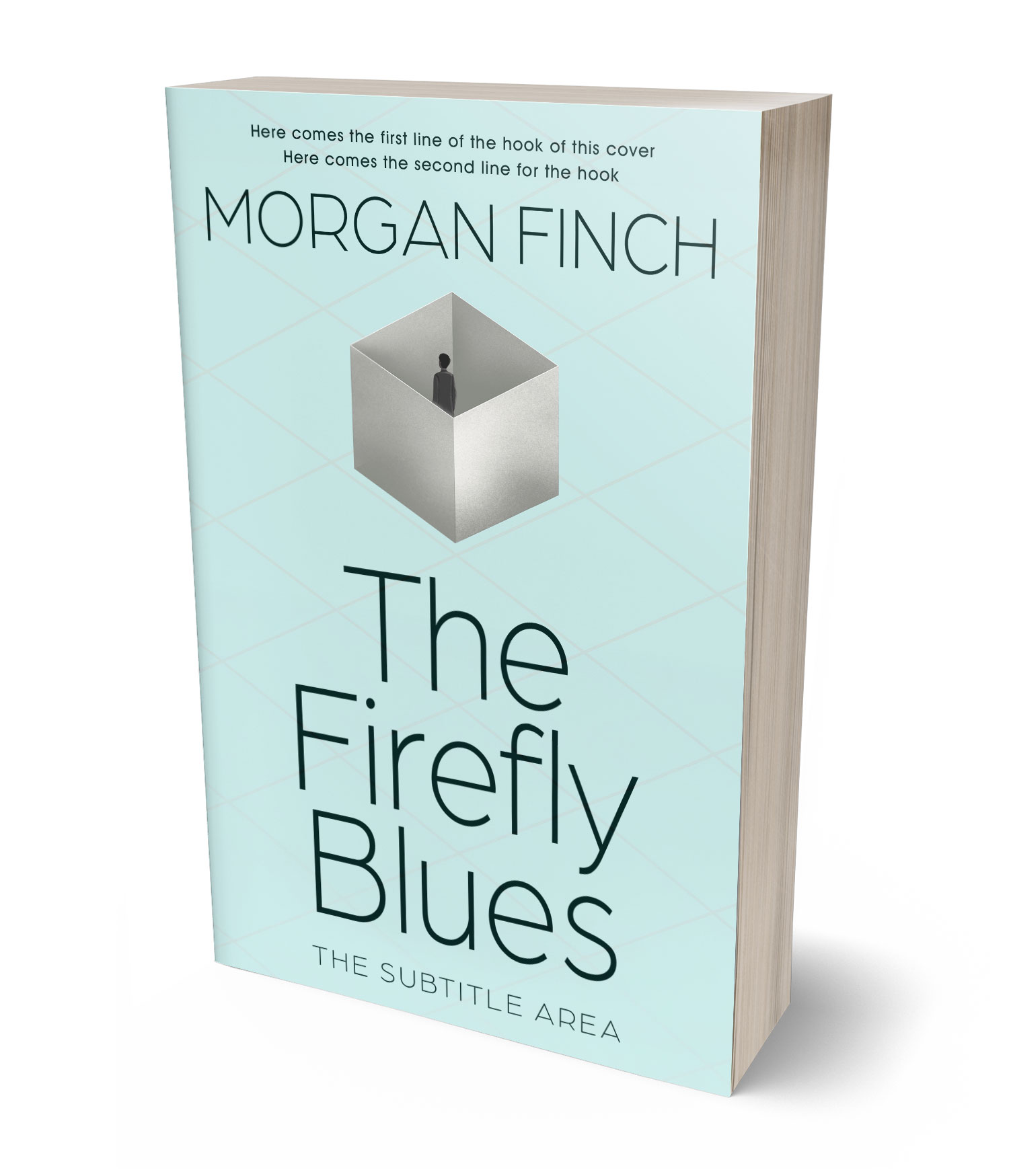 3D view of Premade Literary Fiction Book Cover - Botticelli #36738 | BookCoverZone