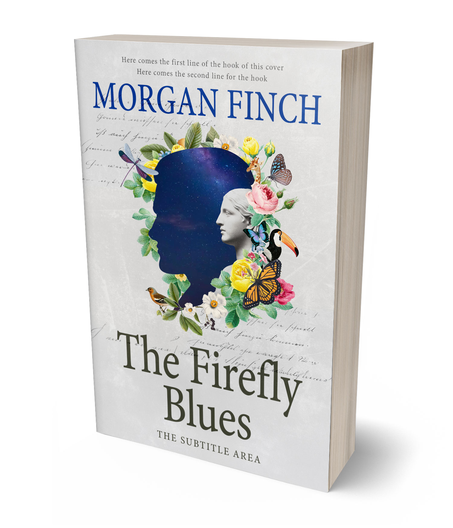 3D view of Premade Poetry Book Cover - Quill Gray #36749 | BookCoverZone
