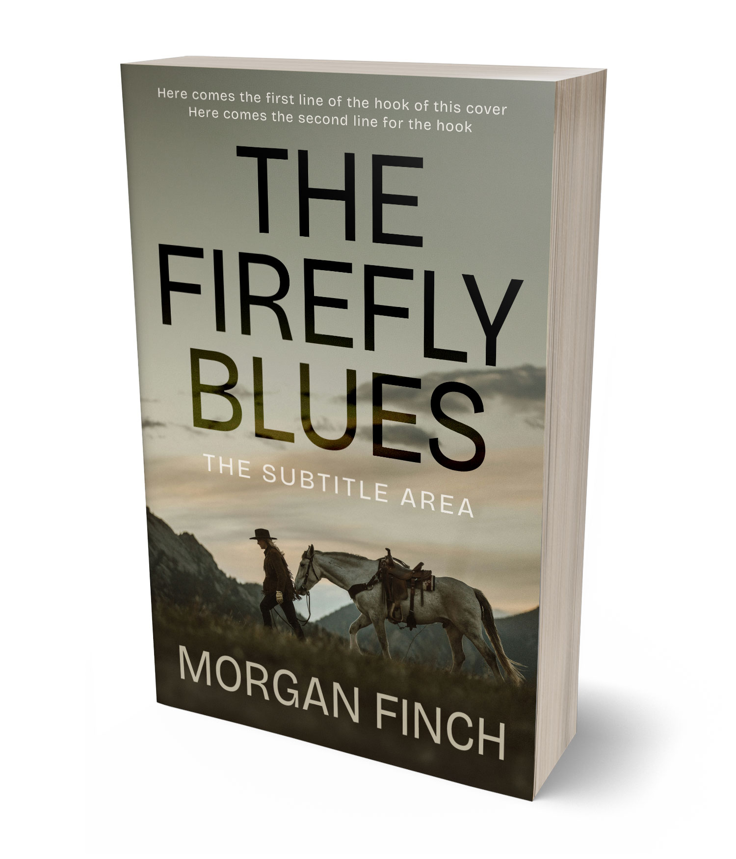 3D view of Premade Western Book Cover - Gray Olive #36756 | BookCoverZone*