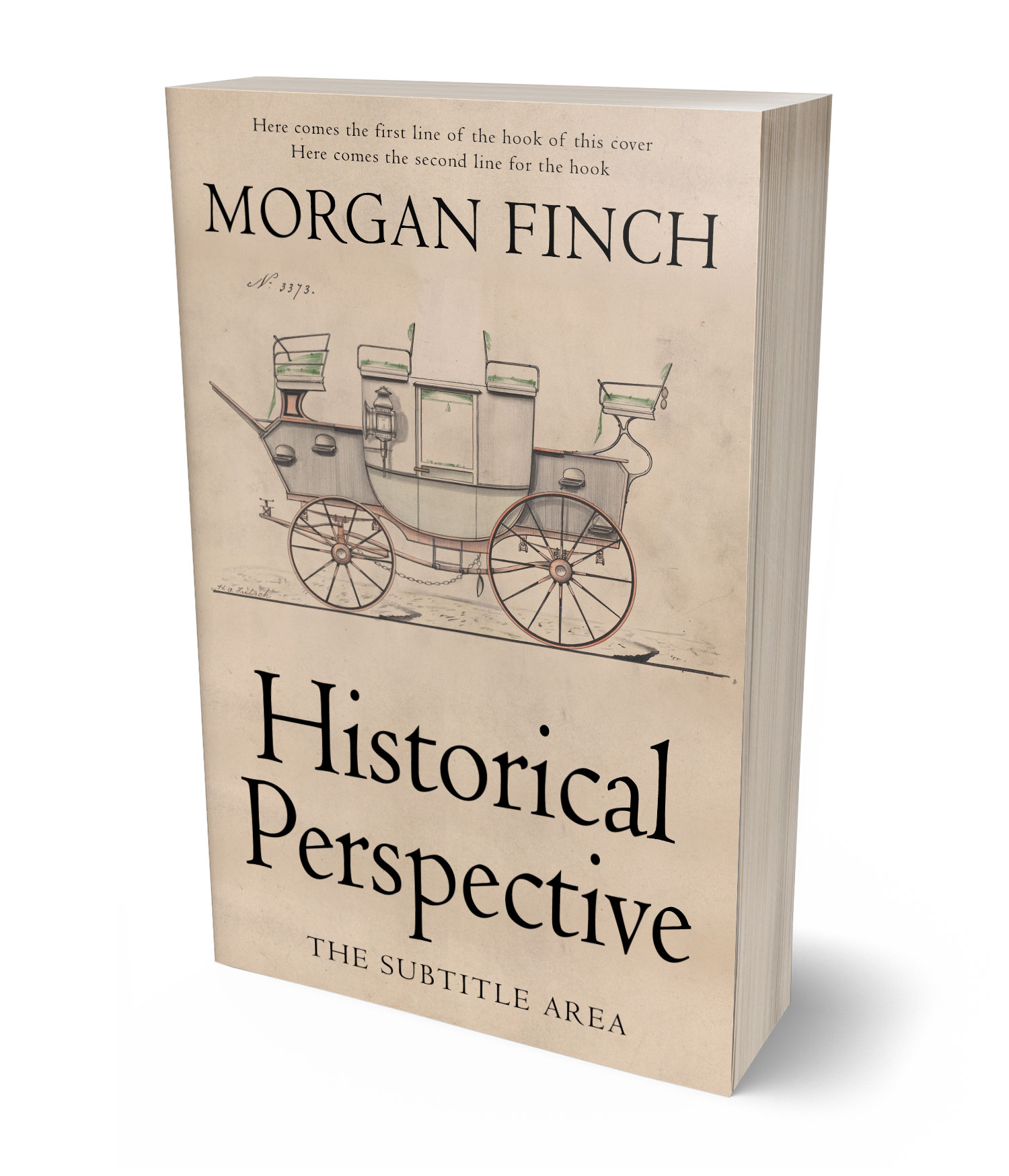 3D view of Premade Historical Book Cover - Akaroa #36809 | BookCoverZone*